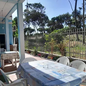 Bibbona Summer - Intero - Appartamento